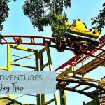 Safari africa south kruger park holidays holiday elephant luxury national game drive