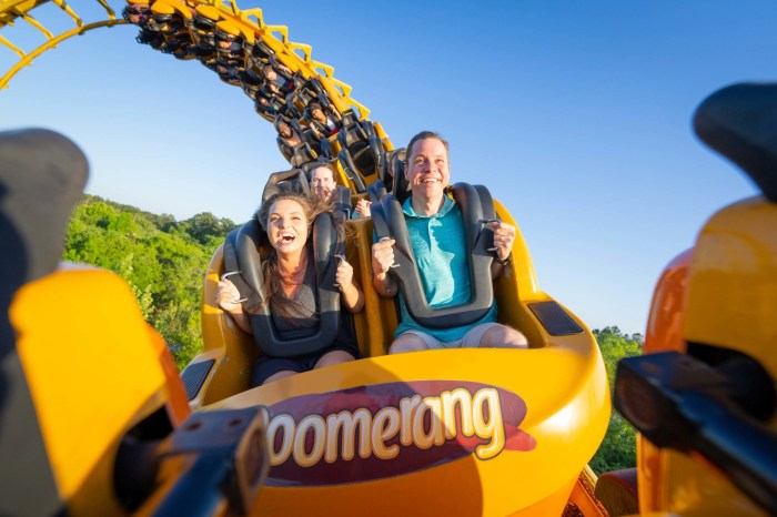 Adventures georgia kids wild do things island valdosta amazing travel state